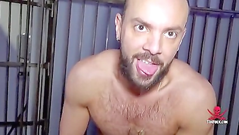 Brunette with a tattooed pussy fucked by a hard cock